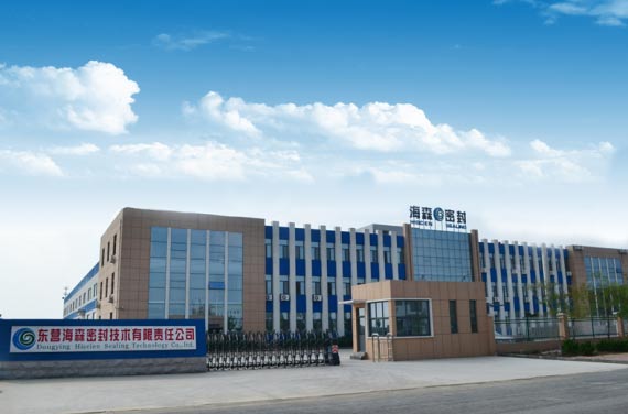 东营海森密封技术有限责任公司 东营海森密封技术有限责任公司